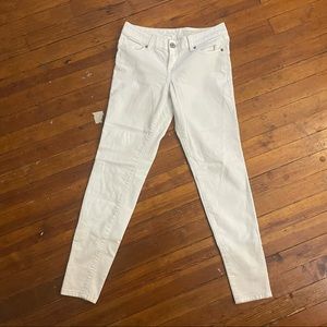 The limited low rise 917